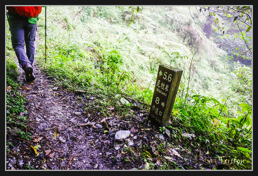 2017-02-27 10.03.53 下午 _MG_0284.jpg - 20170225 玉里瓦拉米