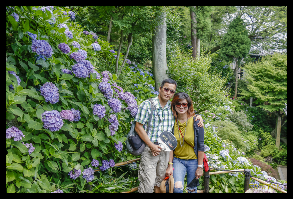 _MG_1479.jpg - 20170702 靜岡東海道之旅