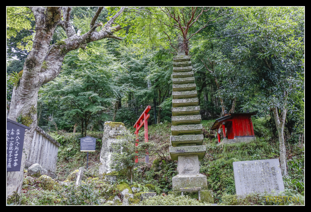 _MG_1178.jpg - 20170702 靜岡東海道之旅
