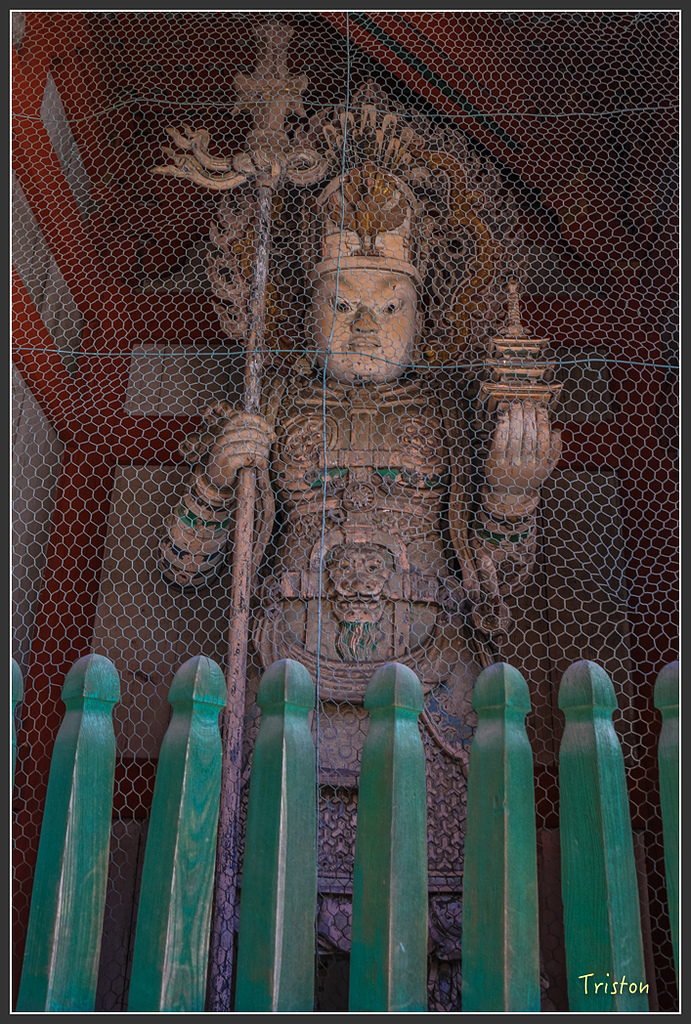 IMG_4411.jpg - 20160323 日本熊野古道健行