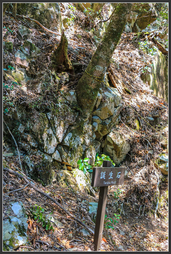 IMG_4766.jpg - 20160323 日本熊野古道健行