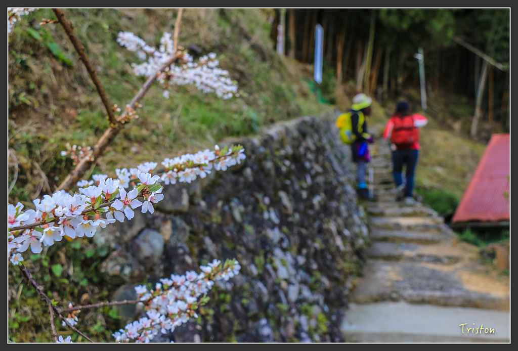 IMG_4972.jpg - 20160323 日本熊野古道健行