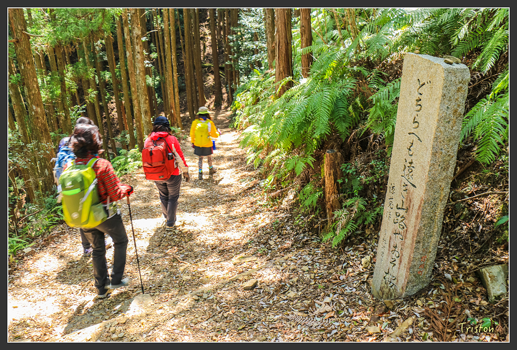 IMG_5142.jpg - 20160323 日本熊野古道健行