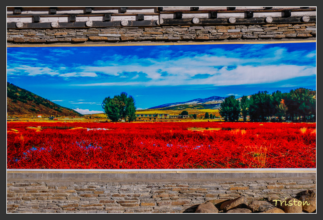 _MG_1583.jpg - 20161013 稻城亞丁