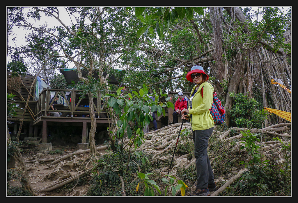 _MG_0040.jpg - 20170205 柴山盤榕雅座路線
