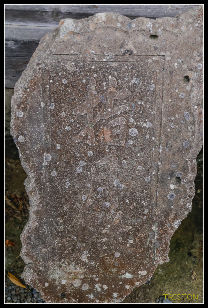 _MG_1187.jpg - 20170702 靜岡東海道之旅