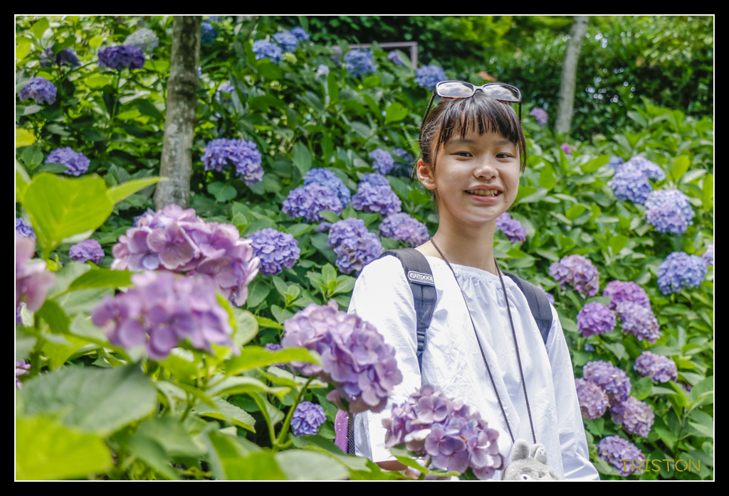 _MG_1483.jpg - 20170702 靜岡東海道之旅