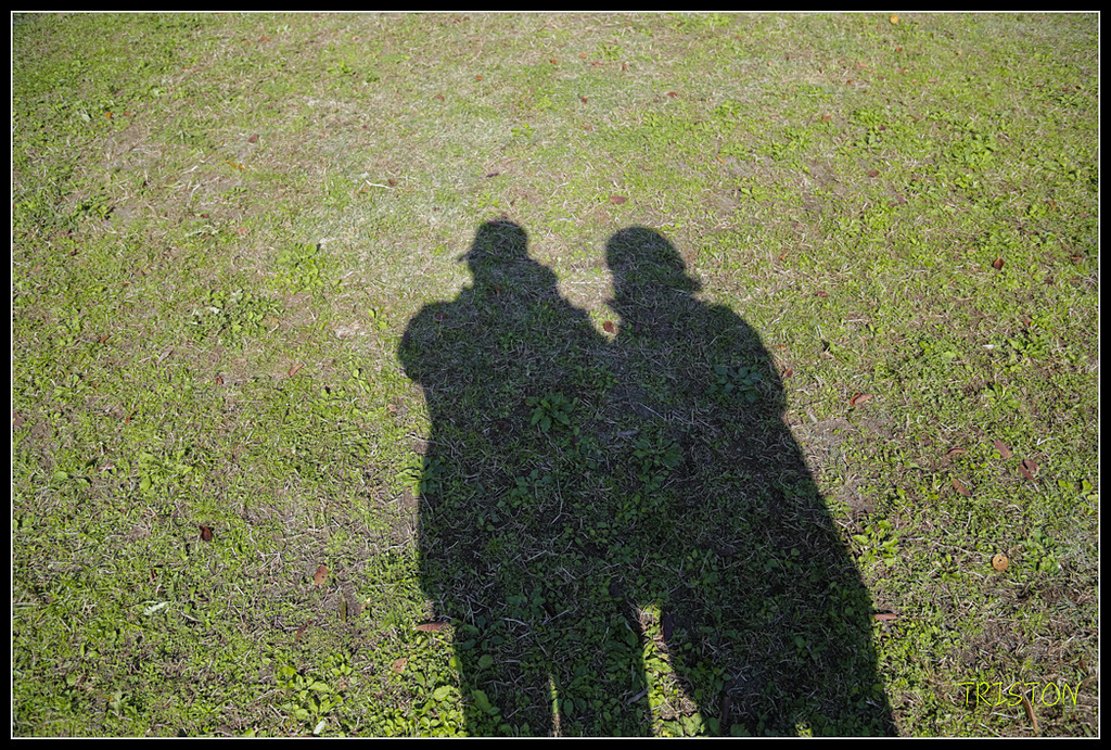 _H1A1671.jpg - 20171103 日本只見線、會津若松五色沼、昭和記念公園賞紅葉