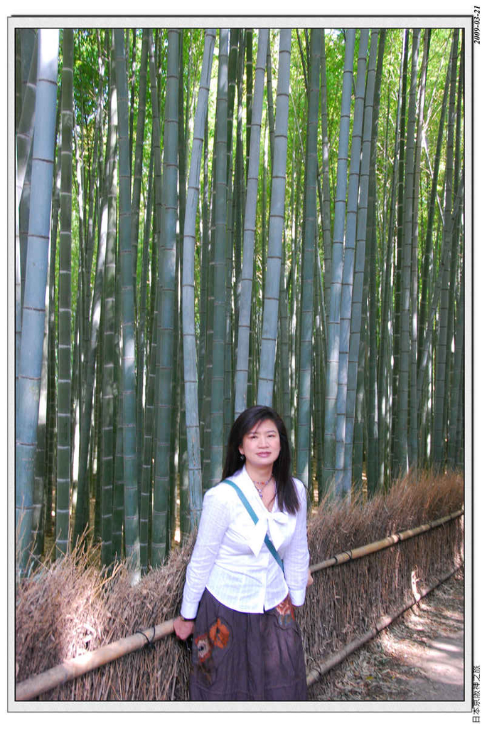 2009-03-21-10_46_58.jpg - 20090320 日本京阪神之旅