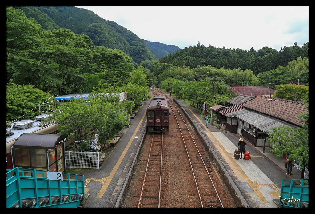 JH1A9815.jpg - 20150628 東京輕井澤日光