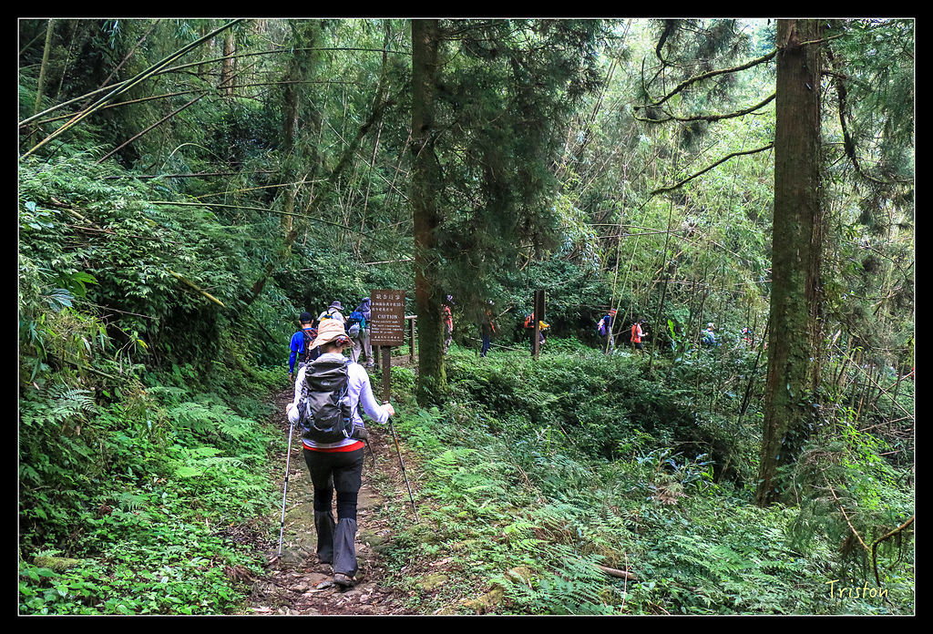 IMG_8335.jpg - 20150926 大凍山切霹靂山 抵龍雲山莊