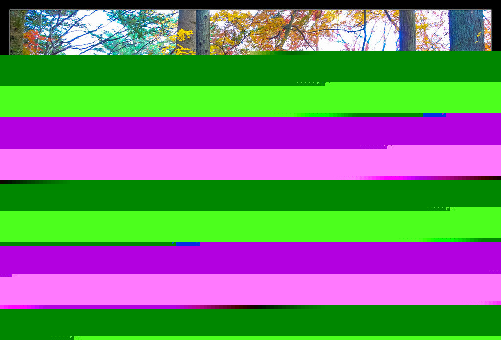 DSC00403.jpg - 20151031 秋天的童話-貴婦東京輕井澤紀行