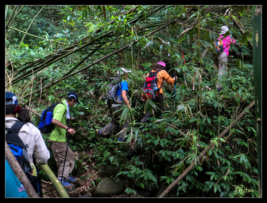 IMG_0574.jpg - 20151107 富士坪古道
