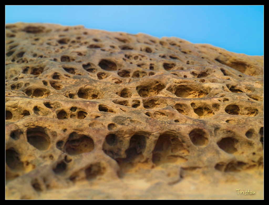 IMG_0404.jpg - 20151107 富士坪古道