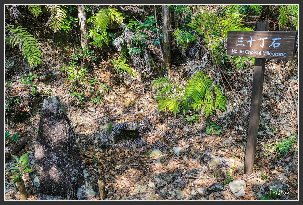 IMG_4781.jpg - 20160323 日本熊野古道健行