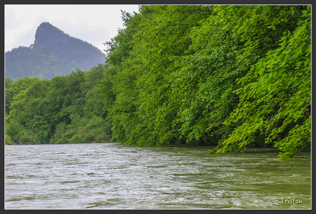 IMG_6801.jpg - 20160409 武夷山之旅