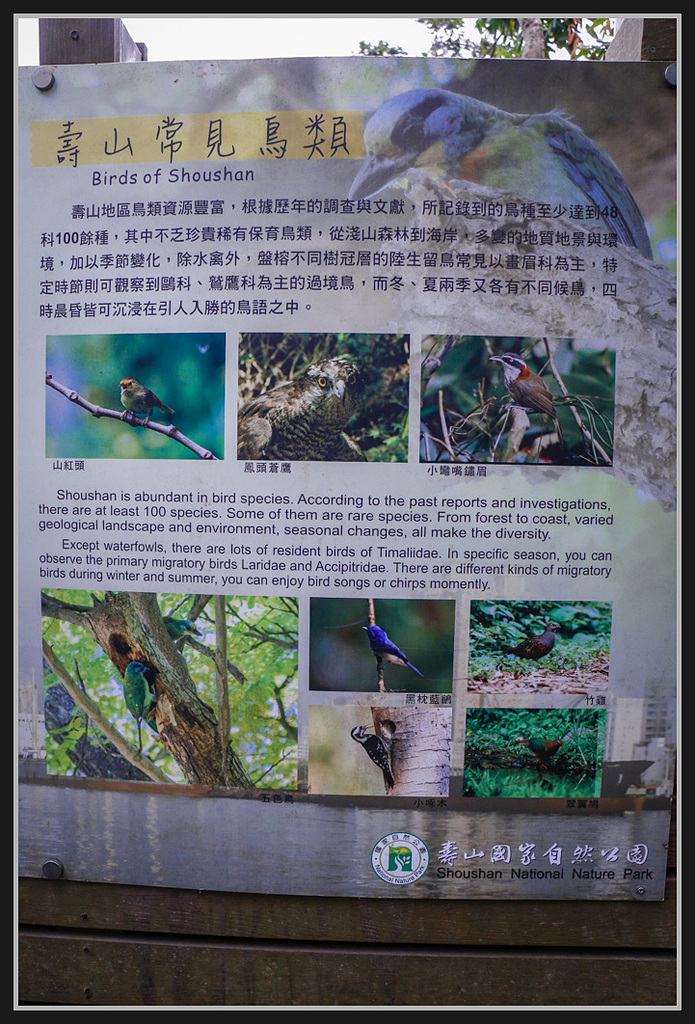 _MG_0042.jpg - 20170205 柴山盤榕雅座路線