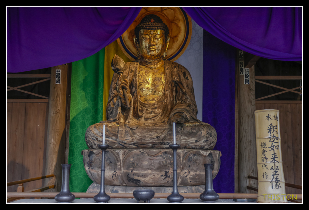 _MG_1186.jpg - 20170702 靜岡東海道之旅