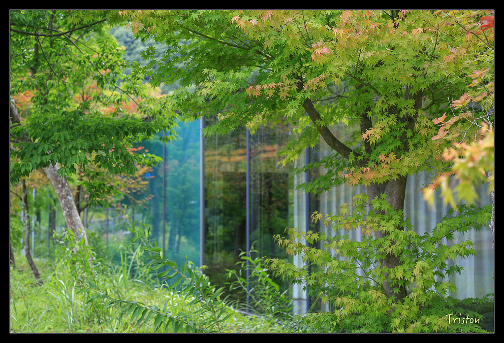 JH1A9794.jpg - 20150628 東京輕井澤日光