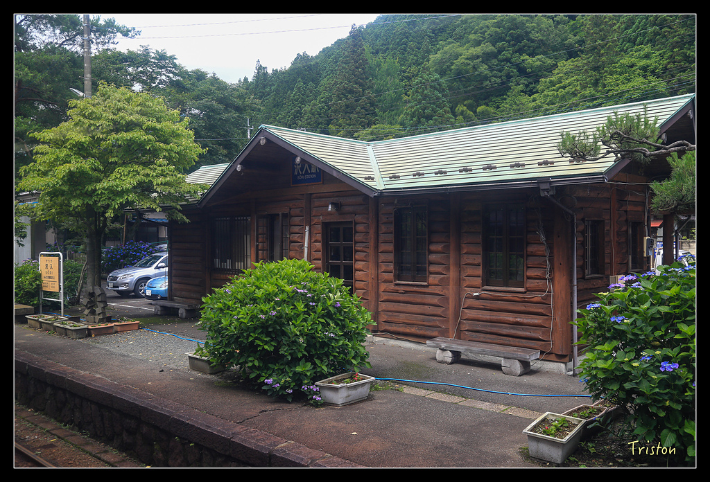 JH1A9833.jpg - 20150628 東京輕井澤日光