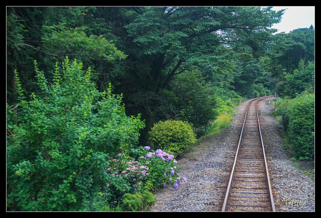 JH1A9778.jpg - 20150628 東京輕井澤日光