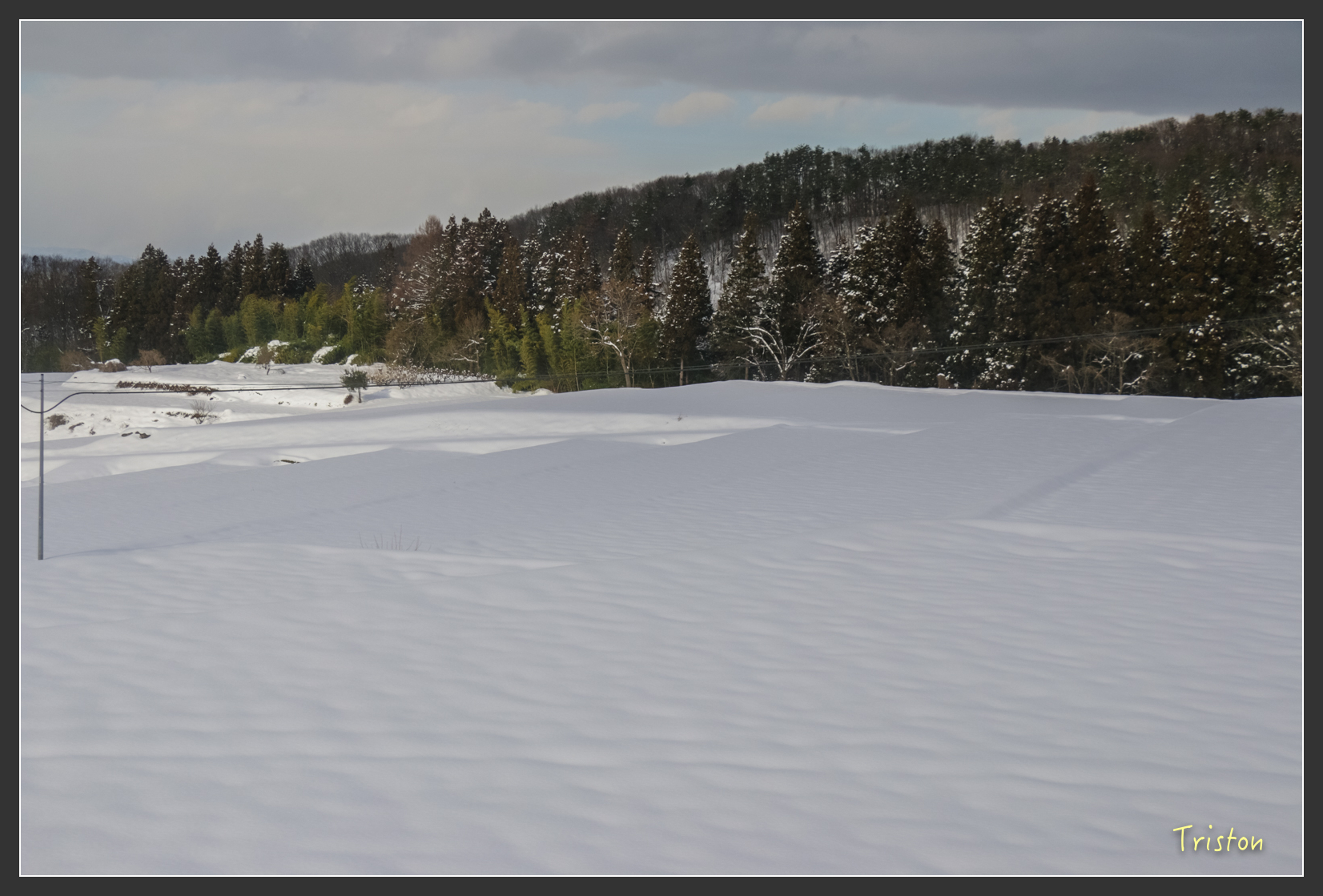 2016ZAO-00810.jpg - 20160131 日本藏王溫泉滑雪親子行
