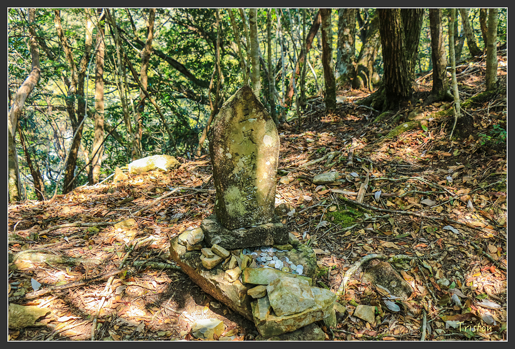 IMG_5130.jpg - 20160323 日本熊野古道健行