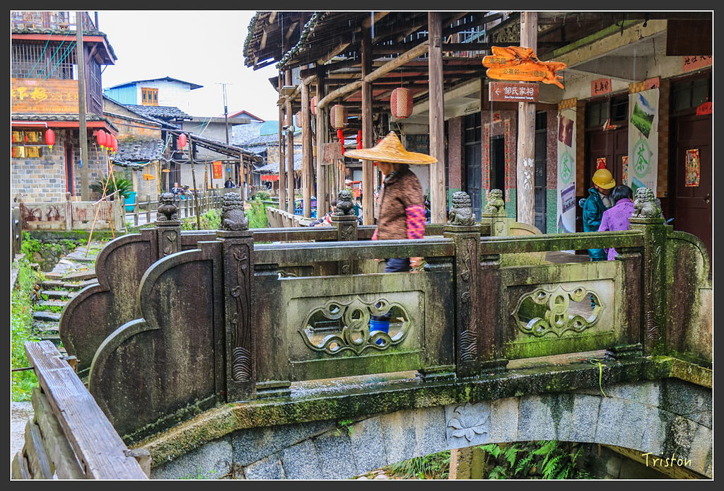 IMG_6563.jpg - 20160409 武夷山之旅