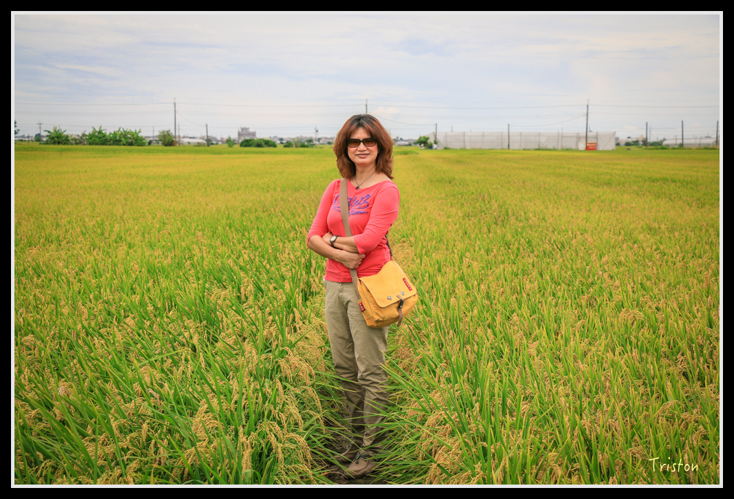 IMG_7495.jpg - 20160609 嘉義一日小旅行