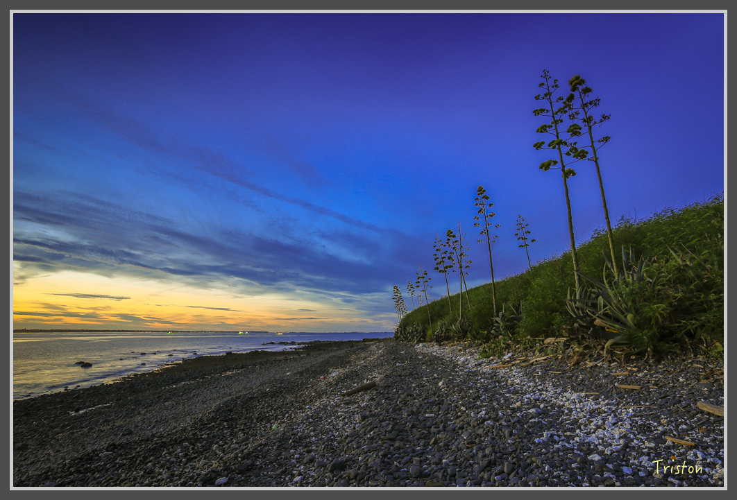 JH1A1043.jpg - 20160701 澎湖