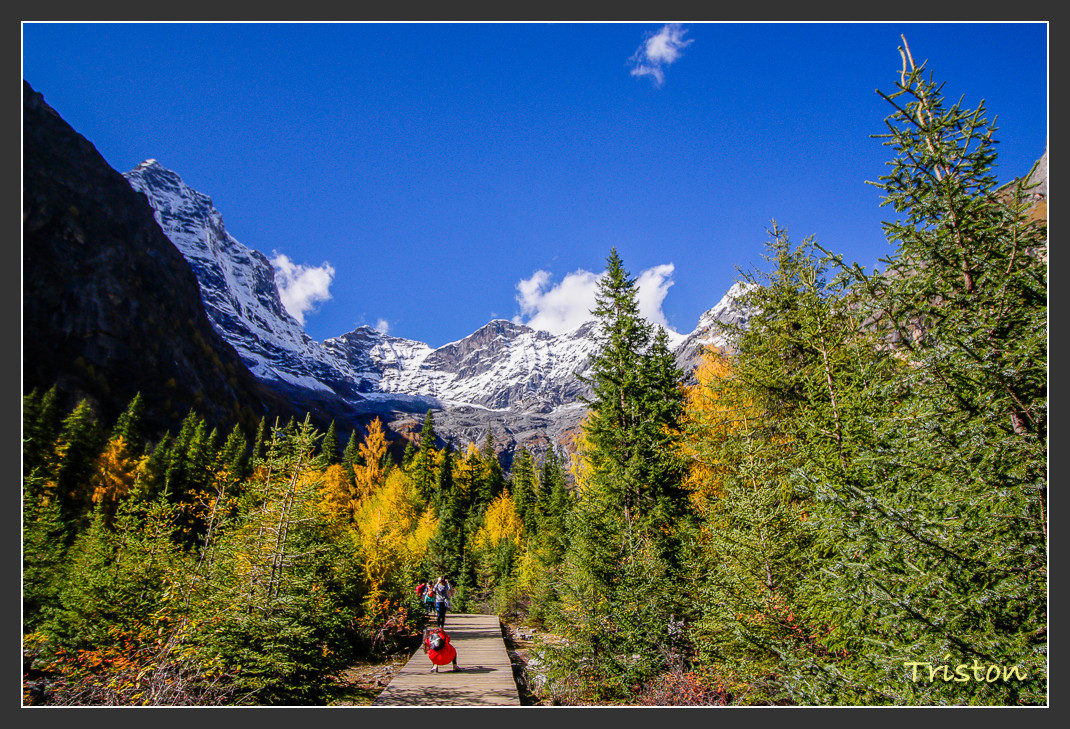 _MG_0635.jpg - 20161013 稻城亞丁
