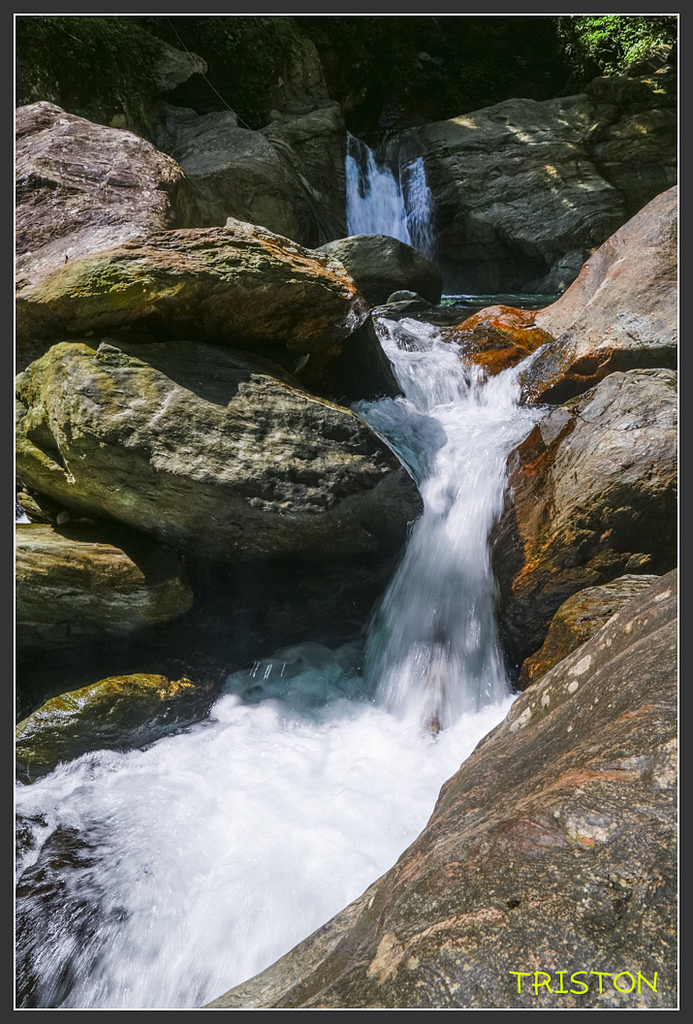 _H1A6103.jpg - 20170901 戀戀台九線