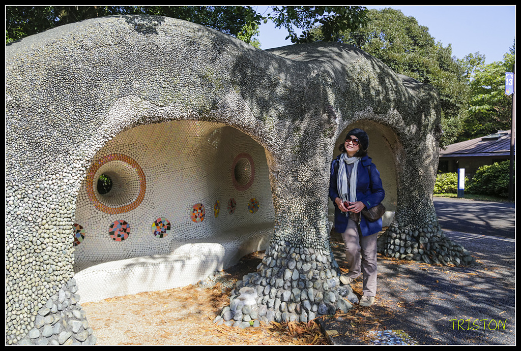 _H1A1676.jpg - 20171103 日本只見線、會津若松五色沼、昭和記念公園賞紅葉