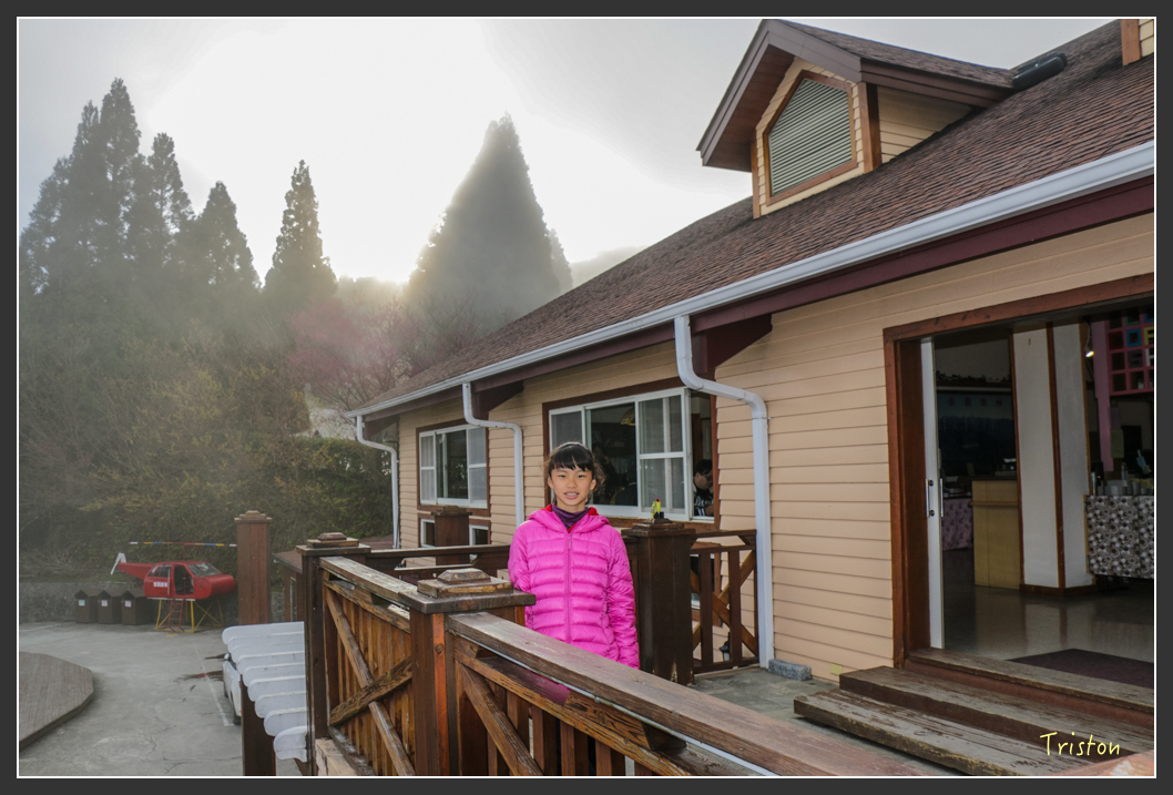 IMG_3496.jpg - 20160227 觀霧森林步道