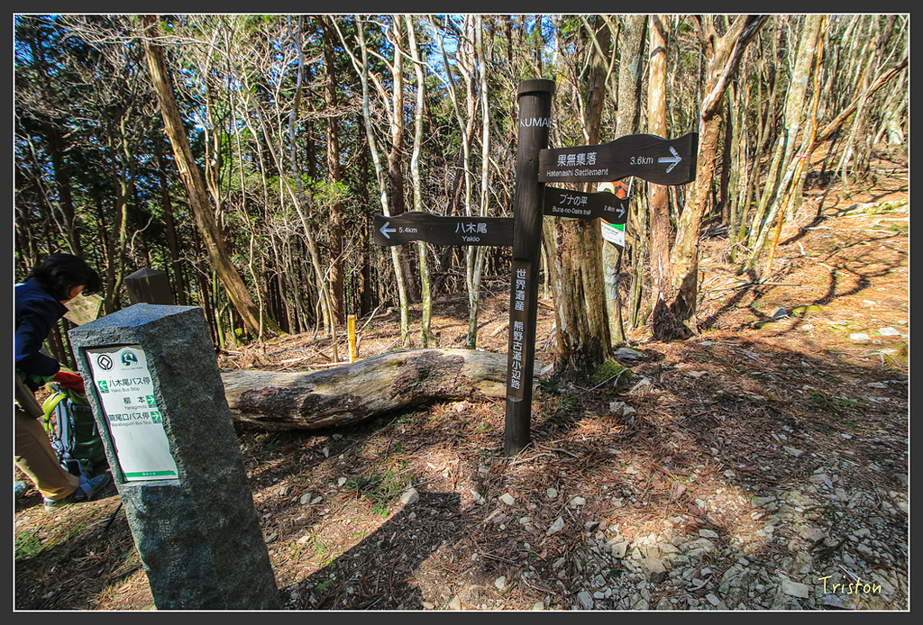 IMG_4739.jpg - 20160323 日本熊野古道健行