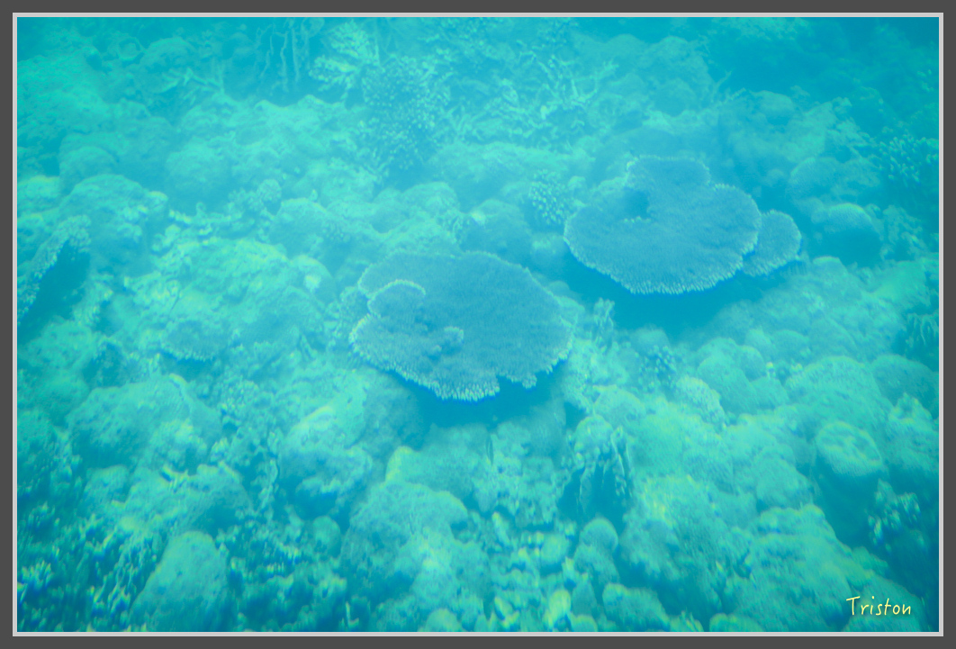 JH1A1069.jpg - 20160701 澎湖