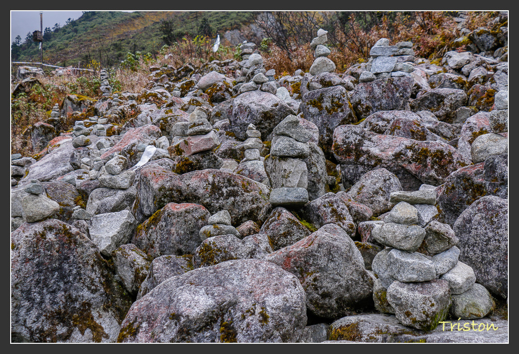 _MG_2681.jpg - 20161013 稻城亞丁