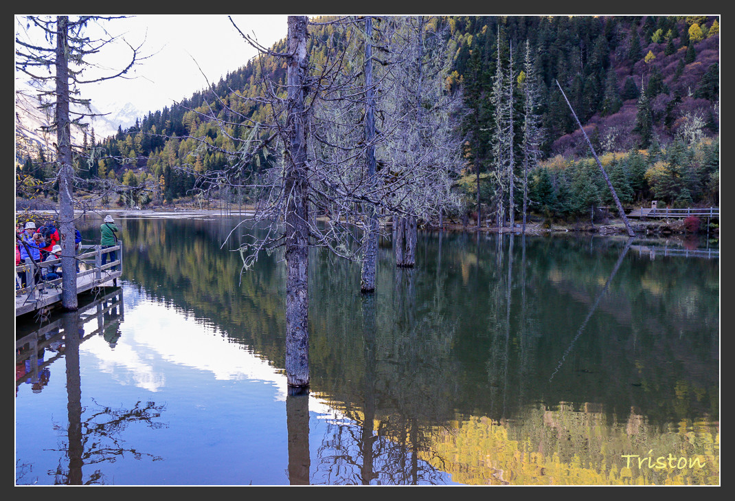 _MG_0734.jpg - 20161013 稻城亞丁