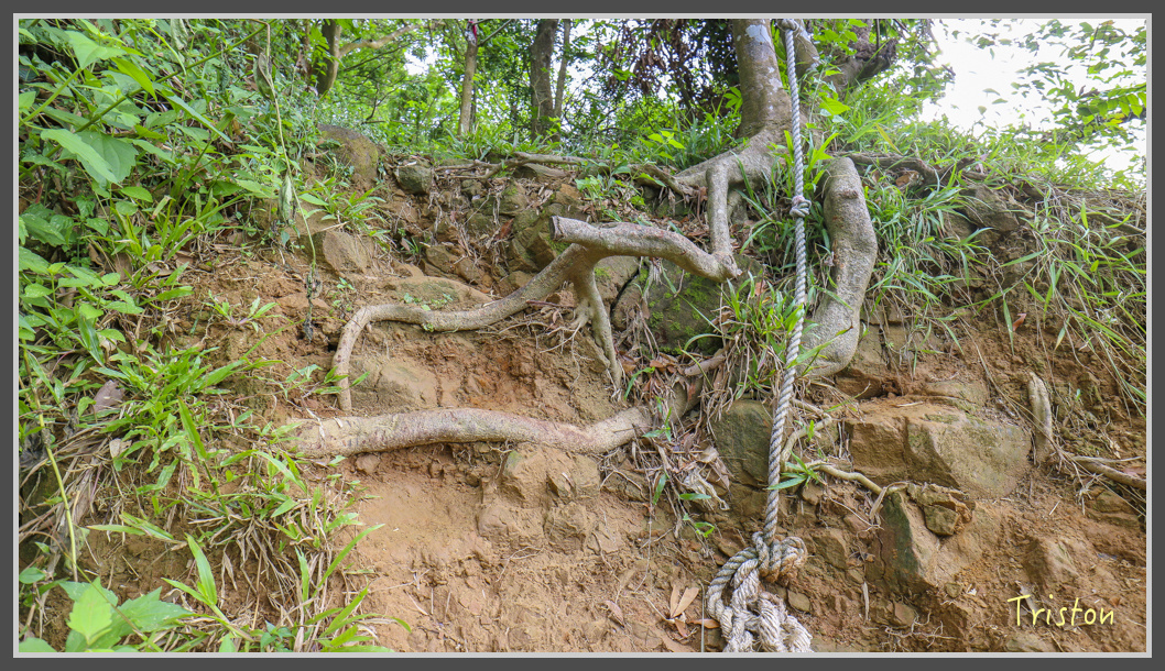 IMG_1916.jpg - 20161130 高雄旗尾山