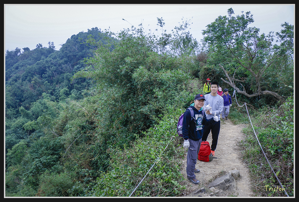 _MG_0648.jpg - 20170114 旗尾山