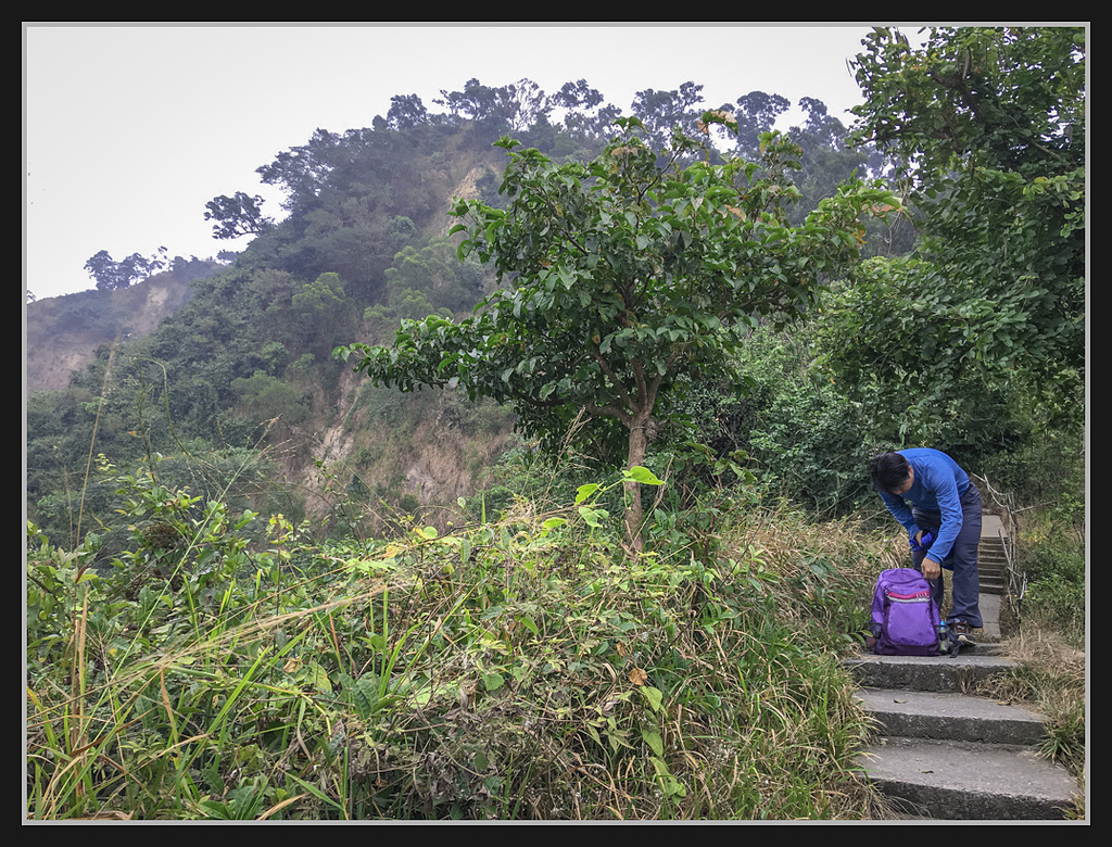 IMG_2129.jpg - 20170204 大社觀音山