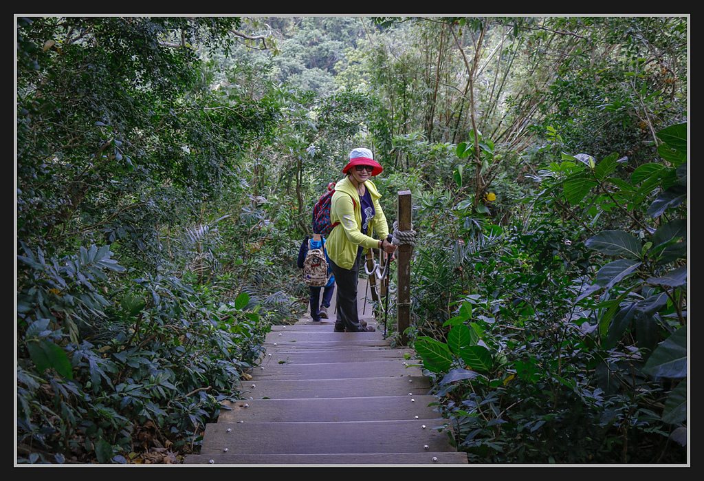 _MG_0060.jpg - 20170205 柴山盤榕雅座路線