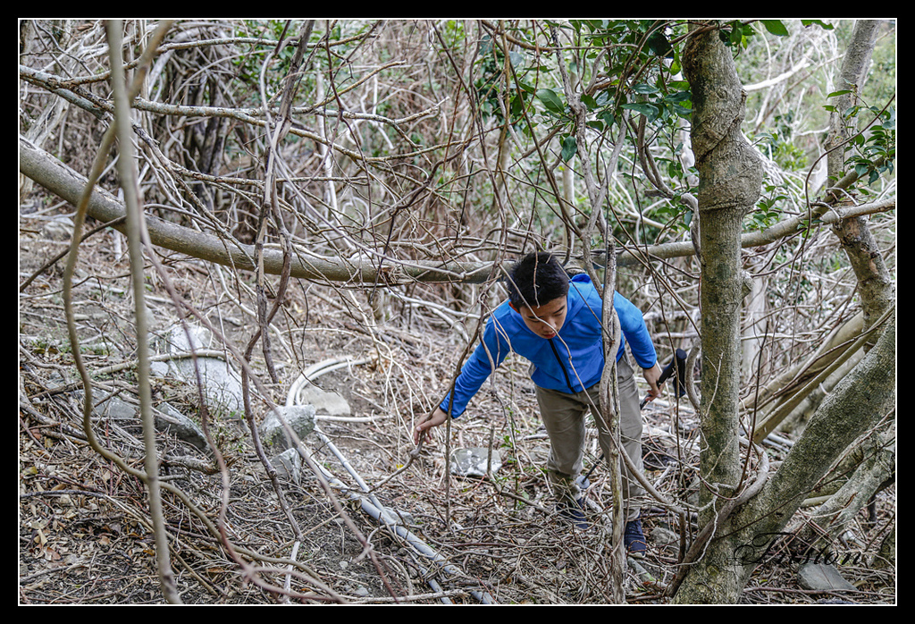 _H1A3254.jpg - 20170401 墾丁