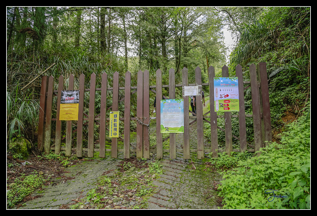 _H1A3608.jpg - 20170425 阿里山+圓潭螢火蟲