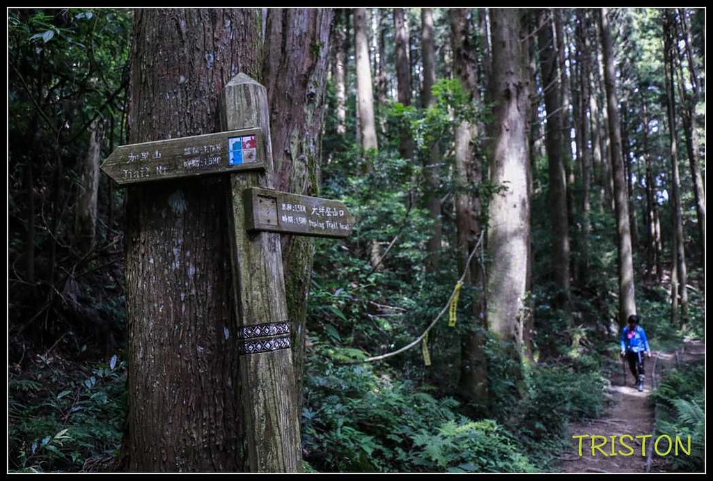 _MG_0051.jpg - 20170920 加里山