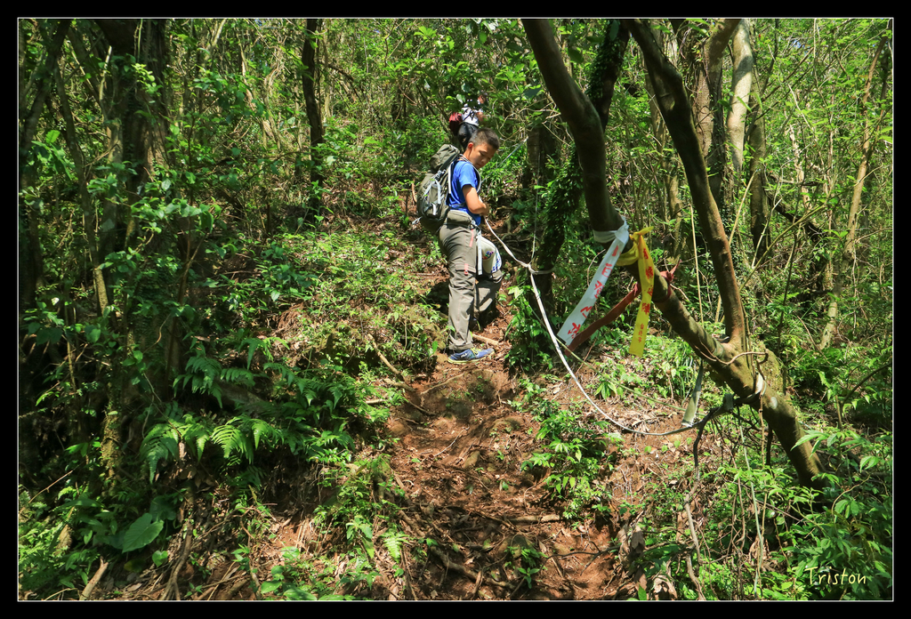 IMG_0526.jpg - 20151107 富士坪古道