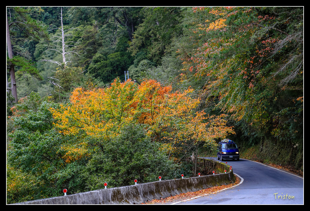 JH1A1015.jpg - 20151205 合歡溪步道、108K楓之谷