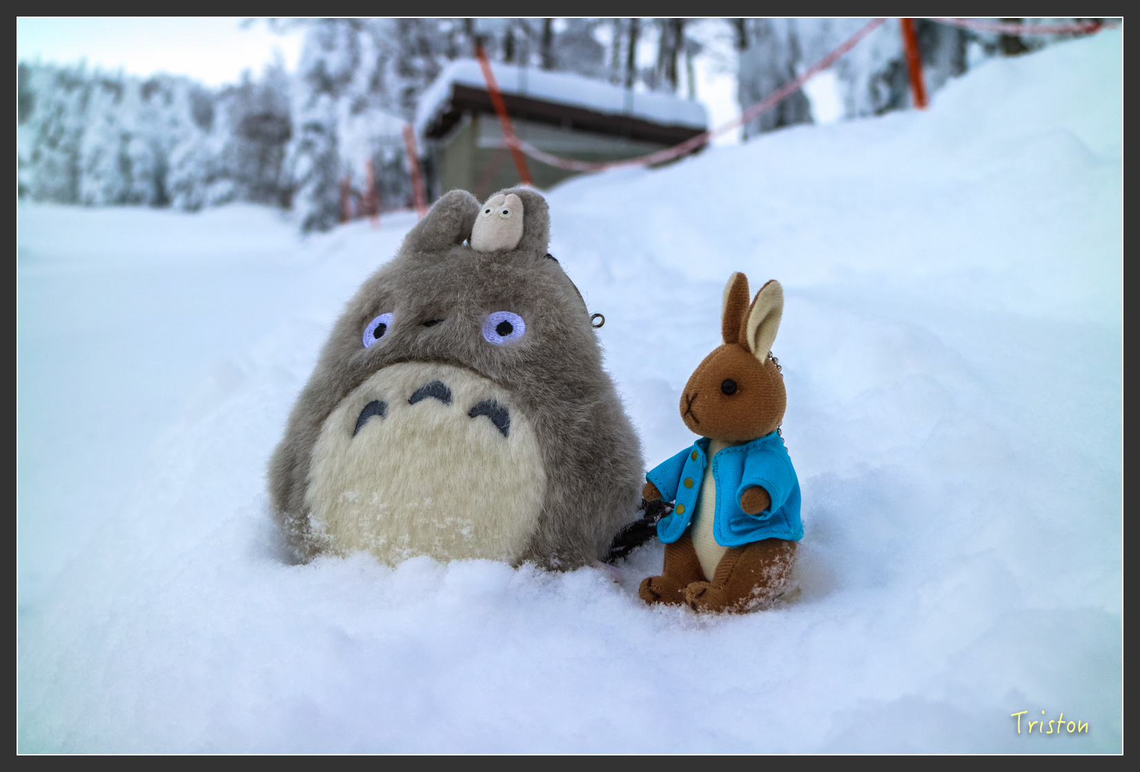 2016ZAO-01784.jpg - 20160131 日本藏王溫泉滑雪親子行