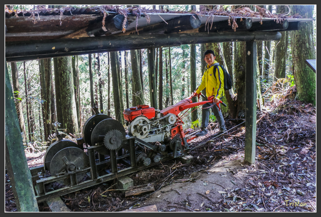 IMG_3407.jpg - 20160227 觀霧森林步道