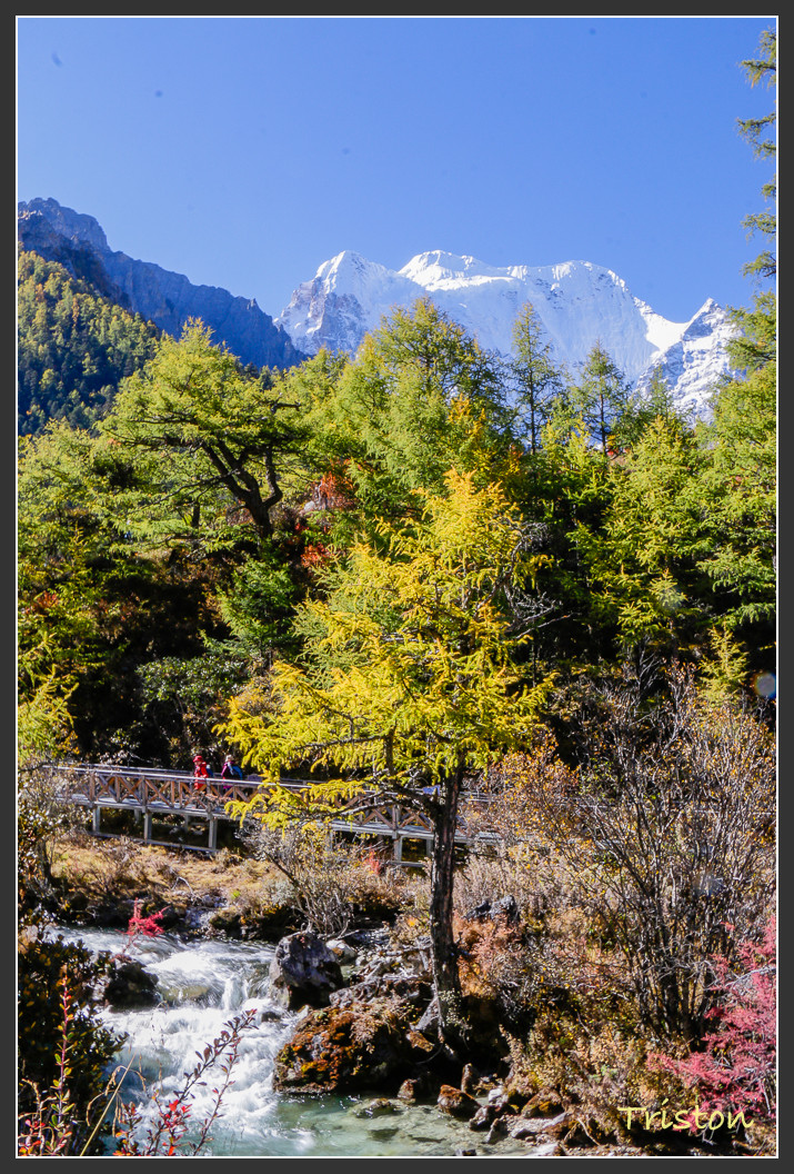 _MG_1648.jpg - 20161013 稻城亞丁